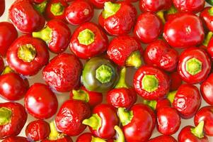 een bundel van rood paprika's zittend Aan een kleding foto