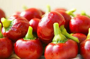 een bundel van rood paprika's zittend Aan een kleding foto