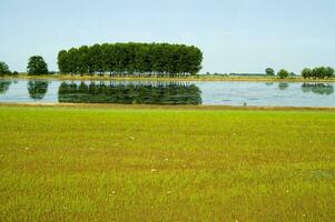 een veld- met water en gras in de midden- foto