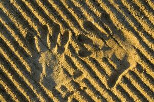 een hand- afdrukken in de zand met twee handen foto