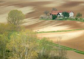 platteland visie in voorjaar foto