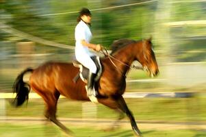 een persoon rijden een paard foto