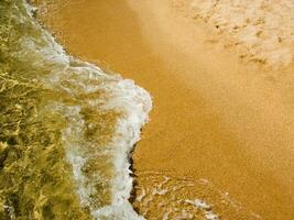 de gouden strand van Corsica foto