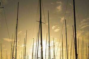 masten van zeilboten Bij zonsondergang foto