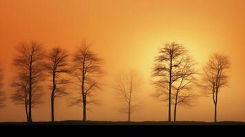 nevelig herfst zonsondergang met bomen foto