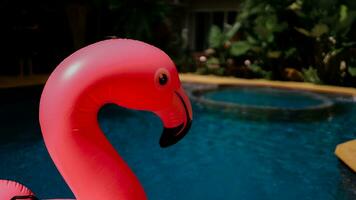 zomer vakantie pret grappig roze flamingo vlotter in een zwemmen zwembad modieus zomer concept foto