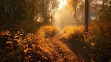 mooi traject in naar de diep natuur Woud in de herfst seizoen. boom en struik in de manier. ai gegenereerd foto