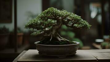 mooi bonsai fabriek Scherm in een keramisch pot binnen. ai gegenereerd foto