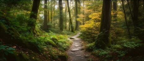 een traject naar de diep natuur tropisch Woud boom onder de schaduw van boom Bij de daglicht zon. ai gegenereerd foto