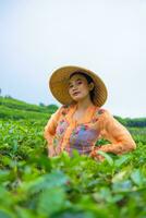 een Javaans vrouw is op zoek na haar thee tuin wanneer ze draagt een oranje jurk foto