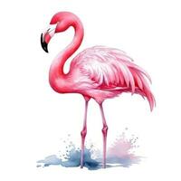 waterverf roze flamingo geïsoleerd foto