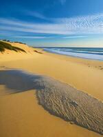 de zand duinen en gras Aan de strand ai gegenereerd foto