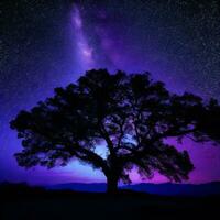 een majestueus boom aftekenen tegen een backdrop van de enorm nacht lucht gevulde met sterren ai gegenereerd foto