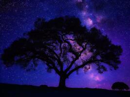 een majestueus boom aftekenen tegen een backdrop van de enorm nacht lucht gevulde met sterren ai gegenereerd foto