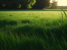 groen gras in de zon ai gegenereerd foto