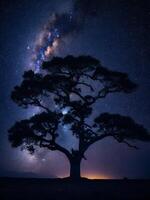 een majestueus boom aftekenen tegen een backdrop van de enorm nacht lucht gevulde met sterren ai gegenereerd foto