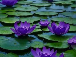 Purper lotus bloemen drijvend in een vijver ai gegenereerd foto