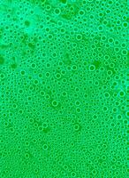 abstract druppels Aan de oppervlakte van transparant plastic. glad klein bubbels in de vorm van een regelmatig cirkel, abstract achtergrond van water bubbels foto