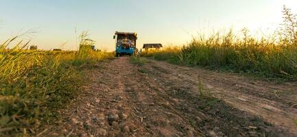 bodem weg in landelijk rijst- velden Bij zonsondergang. foto