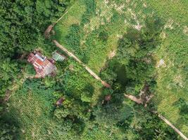 antenne foto's van vliegend drones klein huis in de Woud foto