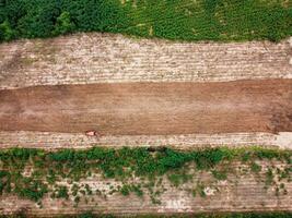 antenne visie van vliegend drone, agrarisch machines zijn werken foto