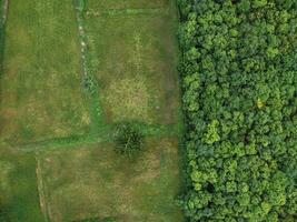 visie van bovenstaand groen natuurlijk thema foto