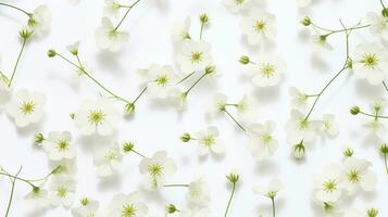 gypsophila bloem gevormde achtergrond. bloem structuur achtergrond. generatief ai foto