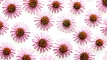 echinacea bloem gevormde achtergrond. bloem structuur achtergrond. generatief ai foto