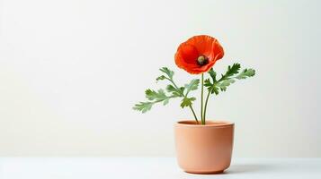 foto van papaver bloem in pot geïsoleerd Aan wit achtergrond. generatief ai