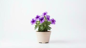 foto van petunia bloem in pot geïsoleerd Aan wit achtergrond. generatief ai