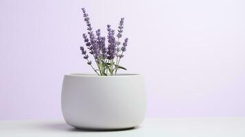 foto van lavendel bloem in pot geïsoleerd Aan wit achtergrond. generatief ai