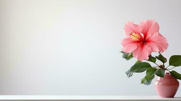 foto van hibiscus bloem in pot geïsoleerd Aan wit achtergrond. generatief ai