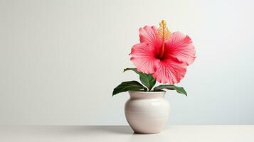 foto van hibiscus bloem in pot geïsoleerd Aan wit achtergrond. generatief ai