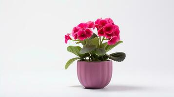 foto van gloxinia bloem in pot geïsoleerd Aan wit achtergrond. generatief ai