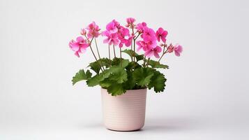 foto van geranium bloem in pot geïsoleerd Aan wit achtergrond. generatief ai