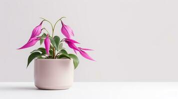 foto van fuchsia bloem in pot geïsoleerd Aan wit achtergrond. generatief ai