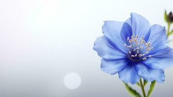foto van mooi tweedia bloem geïsoleerd Aan wit achtergrond. generatief ai