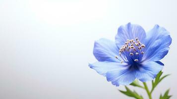 foto van mooi tweedia bloem geïsoleerd Aan wit achtergrond. generatief ai