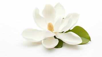 foto van mooi magnolia bloem geïsoleerd Aan wit achtergrond. generatief ai
