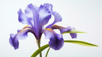 foto van mooi iris bloem geïsoleerd Aan wit achtergrond. generatief ai