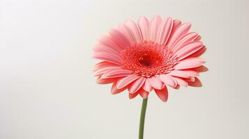 foto van mooi gerbera bloem geïsoleerd Aan wit achtergrond. generatief ai