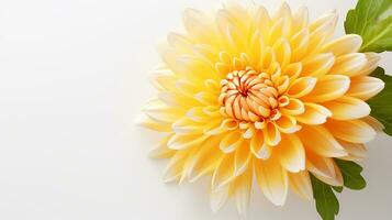 foto van mooi chrysant bloem geïsoleerd Aan wit achtergrond. generatief ai