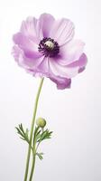 foto van mooi anemoon bloem geïsoleerd Aan wit achtergrond. generatief ai