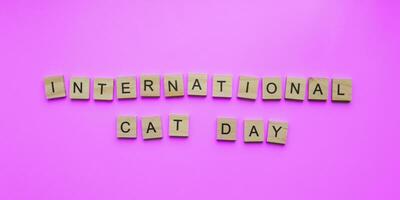 augustus 8, wereld kat dag, minimalistisch banier, opschrift in houten brieven Internationale kat dag foto