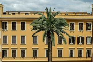 een palm boom in voorkant van een gebouw met een geel facade foto