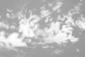 schaduw silhouet naadloos structuur van wit cement muur een ruw oppervlakte en blad schaduw wit, met ruimte voor tekst, voor een achtergrond foto