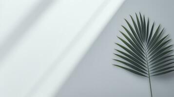 minimalistische achtergrond met palm bladeren foto