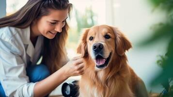 een dierenarts in een kliniek op zoek Bij een hond foto