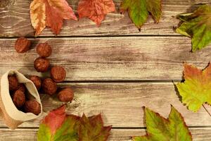 verzameling mooi kleurrijk herfst bladeren en walnoten Aan houten achtergrond. foto