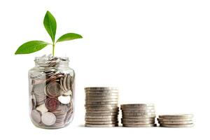 groene bladplant op geld besparen munten, zakelijke financiën besparing bankinvesteringen concept. foto